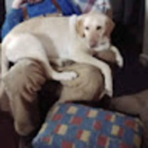 Meet your Posher, Patricia